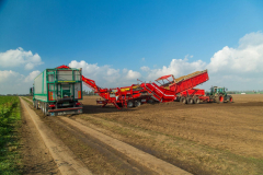 grimme3