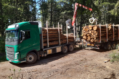 holz2