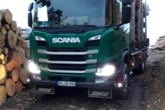 holz7