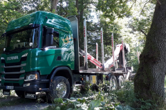 holz9-1